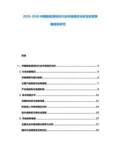 2025-2030中國(guó)新能源材料行業(yè)市場(chǎng)現(xiàn)狀分析及投資策略規(guī)劃研究