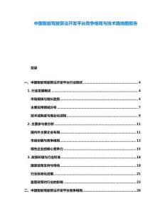 中國智能駕駛算法開發(fā)平臺競爭格局與技術(shù)路線圖報告