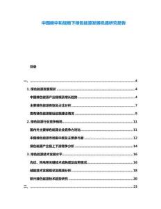 中國(guó)碳中和戰(zhàn)略下綠色能源發(fā)展機(jī)遇研究報(bào)告