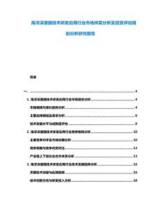海洋深潛器技術(shù)研發(fā)應(yīng)用行業(yè)市場供需分析及投資評估規(guī)劃分析研究報告