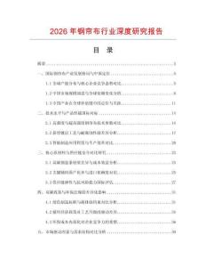 2026年鋼簾布行業(yè)深度研究報告
