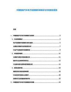 中國智能汽車電子后視鏡標(biāo)準(zhǔn)制定與市場普及報告