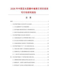 2026年中國亞光型豪華墻漆王項目投資可行性研究報告