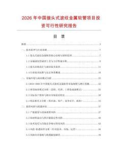 2026年中國(guó)接頭式波紋金屬軟管項(xiàng)目投資可行性研究報(bào)告