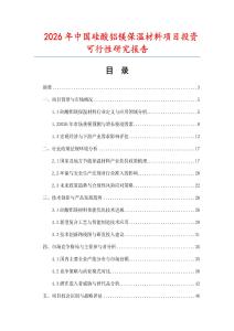 2026年中國硅酸鋁鎂保溫材料項目投資可行性研究報告