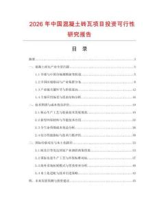 2026年中國混凝土磚瓦項目投資可行性研究報告
