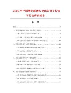 2026年中國腈綸膨體衫混紡衫項目投資可行性研究報告