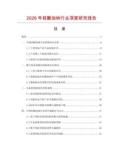 2026年硅酸加納行業(yè)深度研究報告