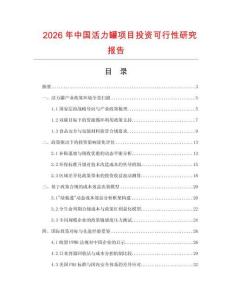 2026年中國活力罐項(xiàng)目投資可行性研究報(bào)告