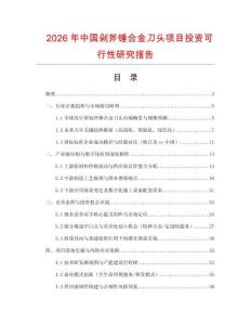 2026年中國剁斧錘合金刀頭項目投資可行性研究報告