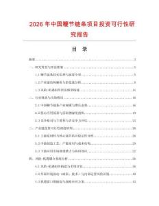 2026年中國鞭節(jié)鏈條項(xiàng)目投資可行性研究報(bào)告