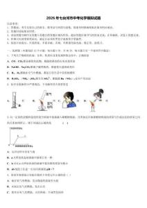 2026年七臺河市中考化學模擬試題（含答案解析）