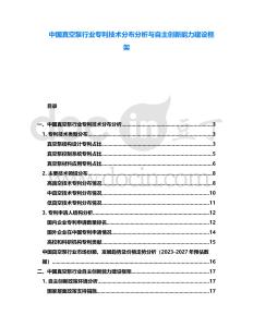 中國(guó)真空泵行業(yè)專(zhuān)利技術(shù)分布分析與自主創(chuàng)新能力建設(shè)框架