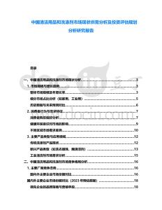 中國清潔用品和洗滌劑市場現(xiàn)狀供需分析及投資評估規(guī)劃分析研究報告