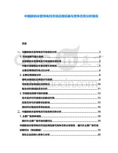 中國碳納米管導(dǎo)電劑市場應(yīng)用拓展與競爭態(tài)勢分析報告