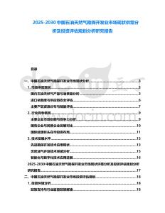 2025-2030中國石油天然氣勘探開發(fā)業(yè)市場現(xiàn)狀供需分析及投資評估規(guī)劃分析研究報(bào)告