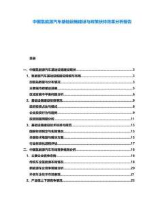 中國氫能源汽車基礎設施建設與政策扶持效果分析報告