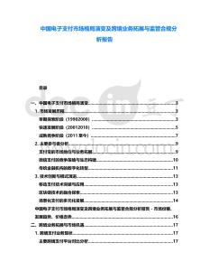 中國電子支付市場格局演變及跨境業(yè)務(wù)拓展與監(jiān)管合規(guī)分析報告