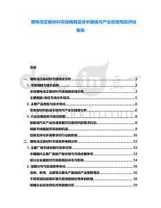 鋰電池正極材料市場格局及技術(shù)路線與產(chǎn)業(yè)投資風險評估報告