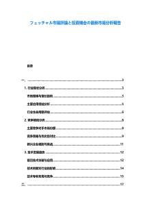 フェッチャル市場評論と投資機會の最新市場分析報告