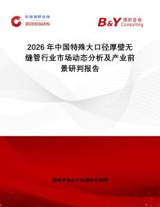 2026年中國特殊大口徑厚壁無縫管行業(yè)市場動態(tài)分析及產(chǎn)業(yè)前景研判報告