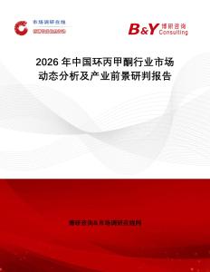 2026年中國(guó)環(huán)丙甲酮行業(yè)市場(chǎng)動(dòng)態(tài)分析及產(chǎn)業(yè)前景研判報(bào)告