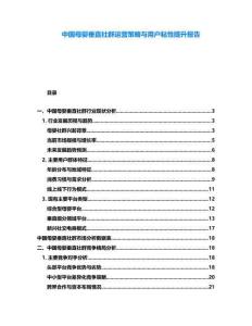 中國母嬰垂直社群運營策略與用戶粘性提升報告