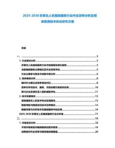 2025-2030農事無人機植保服務行業作業效率分析及精準噴灑技術優化研究方案