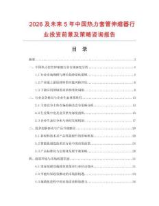 2026及未來5年中國熱力套管伸縮器行業(yè)投資前景及策略咨詢報告