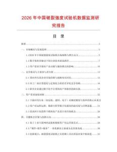 2026年中國破裂強度試驗機數據監測研究報告