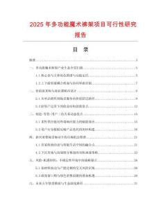 2025年多功能魔術(shù)褲架項目可行性研究報告