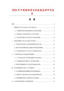 2026年中國鍍銅清潔球數(shù)據(jù)監(jiān)測研究報告