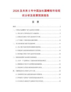 2026及未來5年中國加長扁嘴鉗市場現(xiàn)狀分析及前景預(yù)測報(bào)告