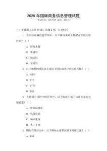 2025年國際商務信息管理試題