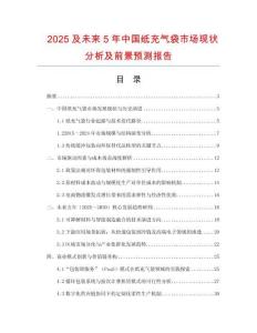 2025及未來5年中國紙充氣袋市場現狀分析及前景預測報告