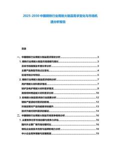 2025-2030中國鋼鐵行業用耐火制品需求變化與市場機遇分析報告