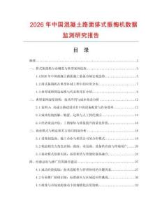 2026年中國混凝土路面排式振掏機數據監測研究報告