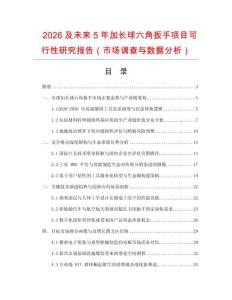 2026及未來(lái)5年加長(zhǎng)球六角扳手項(xiàng)目可行性研究報(bào)告（市場(chǎng)調(diào)查與數(shù)據(jù)分析）