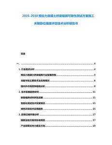 2025-2030預應力混凝土橋梁錨具可靠性測試方案施工關鍵部位強度評定技術分析報告書