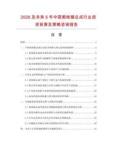 2026及未來5年中國剪線箱總成行業(yè)投資前景及策略咨詢報告