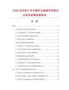 2025及未來5年中國開孔瓷球市場現狀分析及前景預測報告
