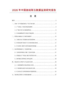2026年中國燒結剛玉數據監測研究報告