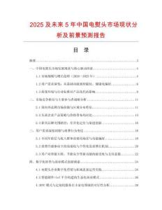2025及未來5年中國電熨頭市場現(xiàn)狀分析及前景預(yù)測報告