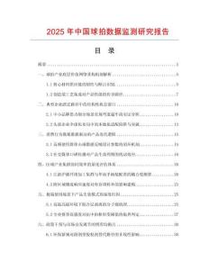 2025年中國球拍數據監測研究報告