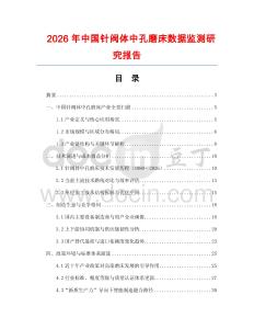 2026年中國針閥體中孔磨床數據監測研究報告