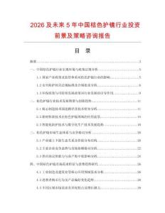 2026及未來5年中國桔色護鏡行業投資前景及策略咨詢報告