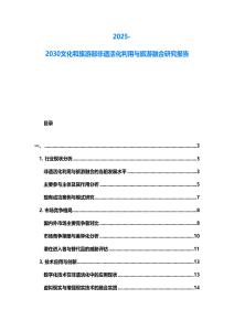 2025-2030文化和旅游部非遺活化利用與旅游融合研究報告