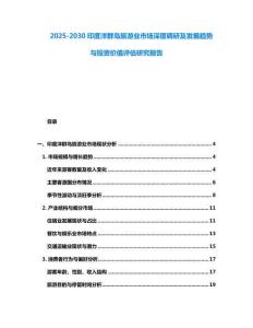 2025-2030印度洋群島旅游業(yè)市場深度調(diào)研及發(fā)展趨勢與投資價值評估研究報告