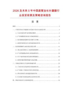 2026及未來5年中國直管加長補漏器行業投資前景及策略咨詢報告
