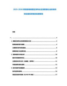 2025-2030揮灑激情英國足球專業足球聯賽社會影響市場估值投資規劃發展報告